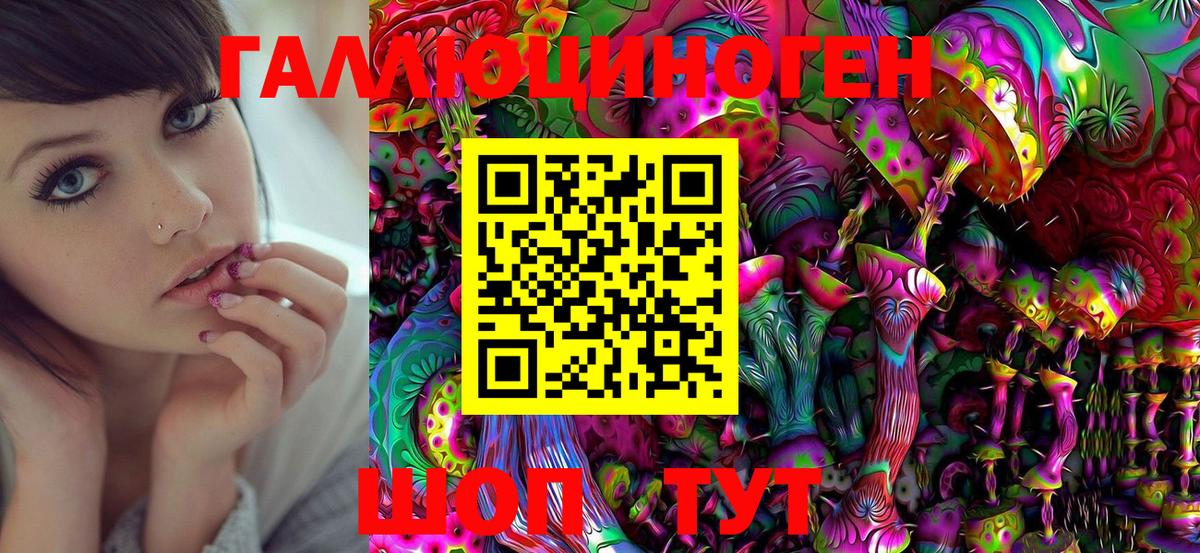Псилоцибиновые грибы Psilocybine cubensis  Вход с VPN  Псилоцибиновые грибы Psilocybe  Фурманов 