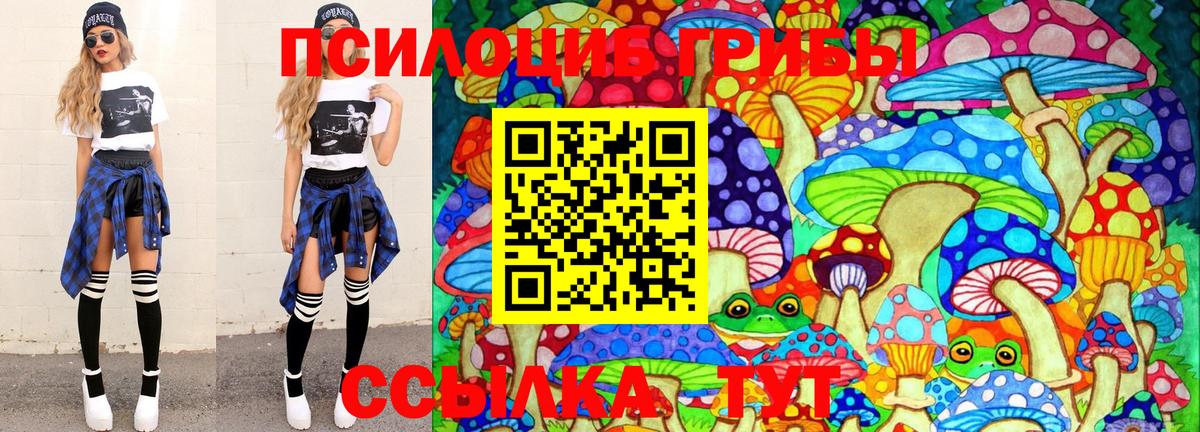 Псилоцибиновые грибы Psilocybine cubensis Фурманов